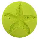 Sea Star Silicone Mould